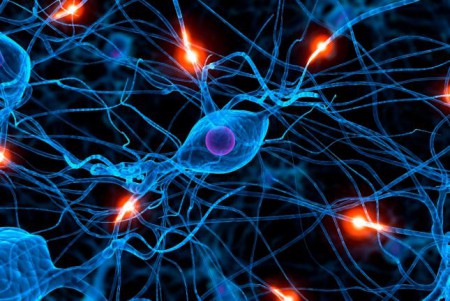 Trasplante de neuronas