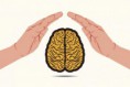 /album/fotogaleria-novedades/a10-increibles-avances-de-la-neurociencia-11-jpg/